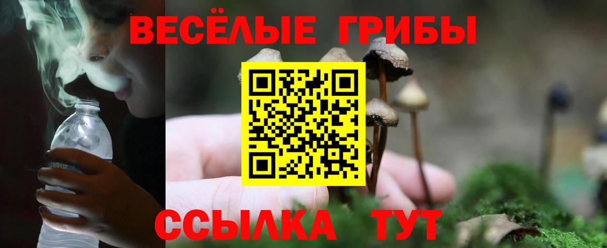Печора  Галлюциногенные грибы GOLDEN TEACHER  где купить   Галлюциногенные грибы мицелий  Вход с VPN 